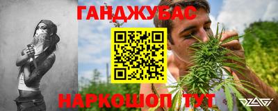 крисы Лесосибирск