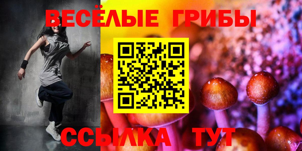 Псилоцибиновые грибы Magic Shrooms  Вход с VPN  Ивантеевка 
